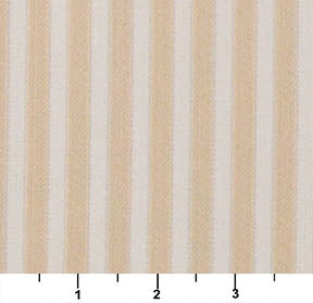 4368 Small Scale Ecru Stripe Beige & Taupe Charlotte Fabrics