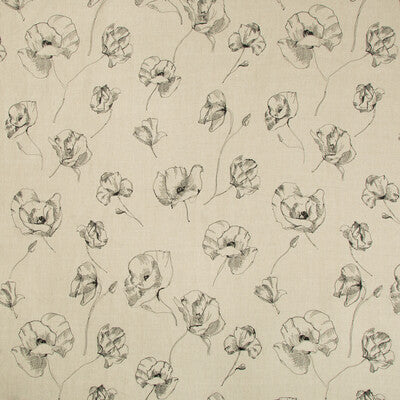 4445-16 FIELD NOTES NATURAL/NOIR KRAVET COUTURE DRAPERY