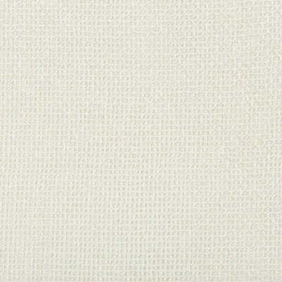 4584-1 KRAVET DESIGN 4584-1 KRAVET DESIGN DRAPERY