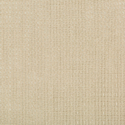 4590-16 KRAVET DESIGN 4590-16 KRAVET DESIGN DRAPERY