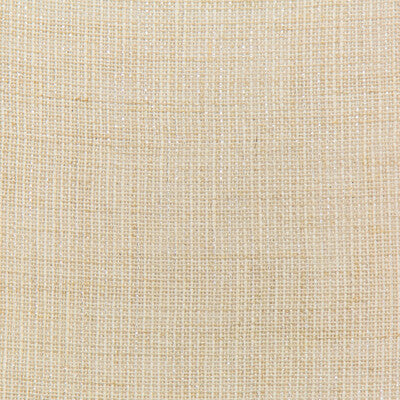 4605-116 KRAVET DESIGN 4605-116 KRAVET DESIGN DRAPERY