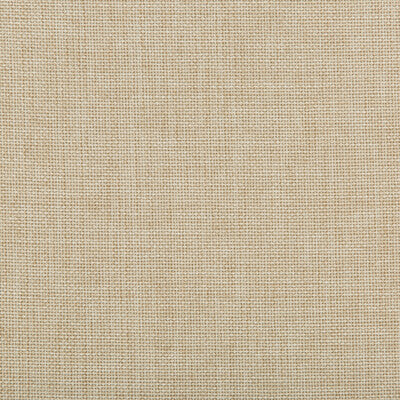 4637-116 KRAVET CONTRACT 4637-116 KRAVET CONTRACT DRAPERY