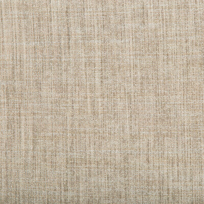 4650-11 KRAVET BASICS 4650-11 KRAVET CONTRACT DRAPERY
