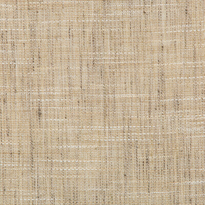 4663-1611 KRAVET BASICS 4663-1611 KRAVET BASICS DRAPERY