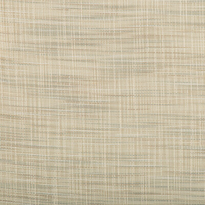 4666-135 KRAVET BASICS 4666-135 KRAVET BASICS DRAPERY