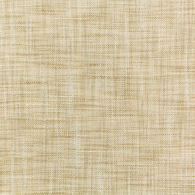 4668-106 KRAVET BASICS 4668-106 KRAVET BASICS DRAPERY