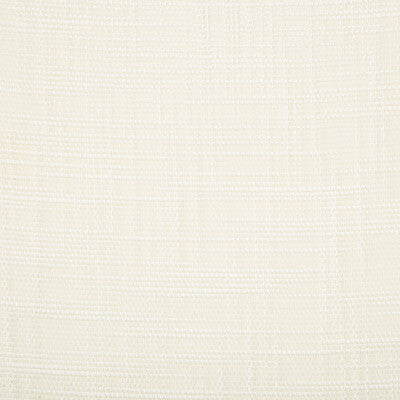 4670-101 KRAVET BASICS 4670-101 KRAVET BASICS DRAPERY