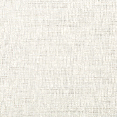 4673-101 KRAVET BASICS 4673-101 KRAVET BASICS DRAPERY