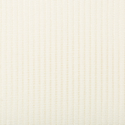 4679-101 KRAVET BASICS 4679-101 KRAVET BASICS DRAPERY