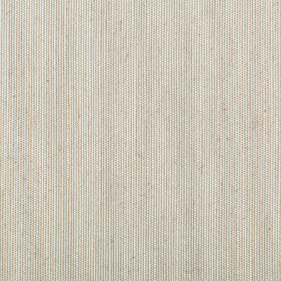 4731-11 KRAVET DESIGN 4731-11 KRAVET DESIGN DRAPERY