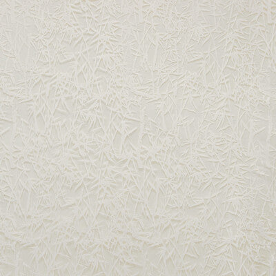 4738-1 KRAVET DESIGN 4738-1 KRAVET DESIGN DRAPERY