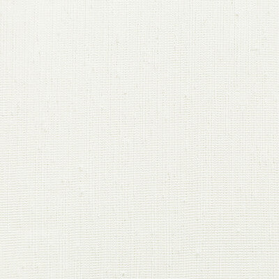 4767-1 KRAVET BASICS 4767-1 KRAVET BASICS DRAPERY
