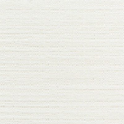 4768-101 KRAVET BASICS 4768-101 KRAVET BASICS DRAPERY