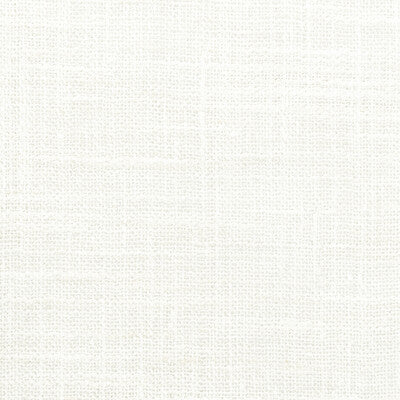 4853-101 KRAVET BASICS 4853-101 KRAVET BASICS DRAPERY