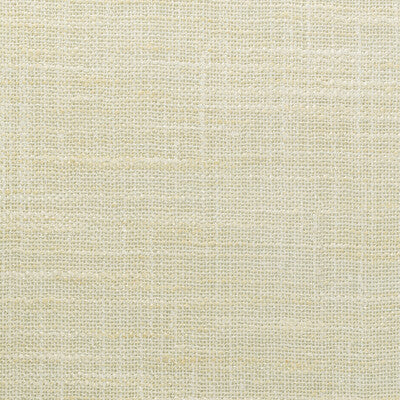 4853-1116 KRAVET BASICS 4853-1116 KRAVET BASICS DRAPERY