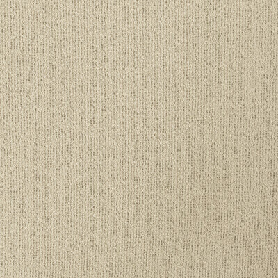 4923-16 KRAVET DESIGN 4923-16 KRAVET DESIGN DRAPERY