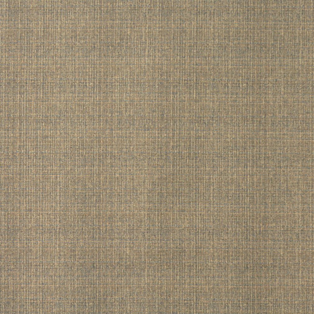 5374 Plain & Solid Cornsilk Beige & Taupe Charlotte Fabrics