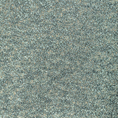 6021111-35 FRIZZLE LICHEN DONGHIA UPHOLSTERY