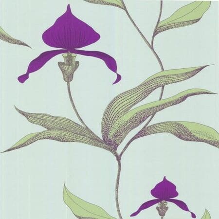 66/4027-CS ORCHID Turquoise Cole & Son Wallpaper
