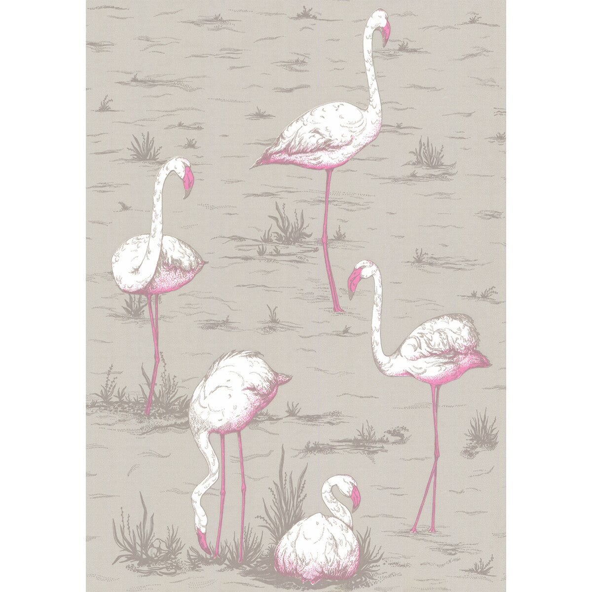 66/6042-CS FLAMINGOS Grey Cole & Son Wallpaper