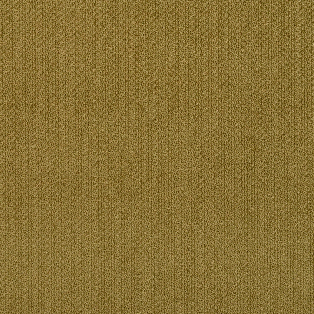 6981 Plain & Solid Fern Green Charlotte Fabrics
