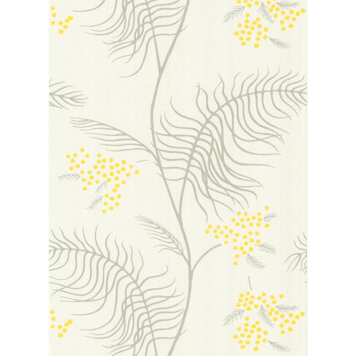 69/8132-CS MIMOSA White Cole & Son Wallpaper