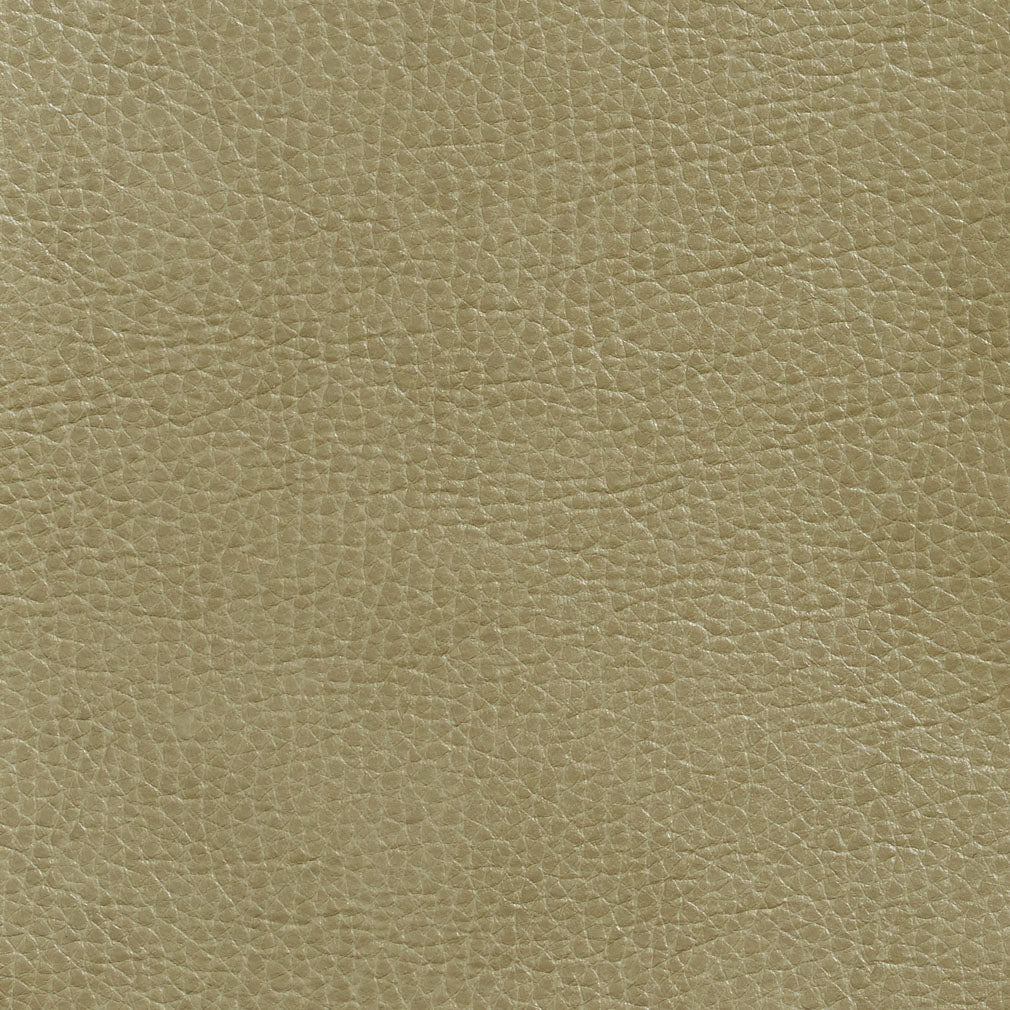 7439 Leather Grain,Plain & Solid Moss Green Charlotte Fabrics Vinyl