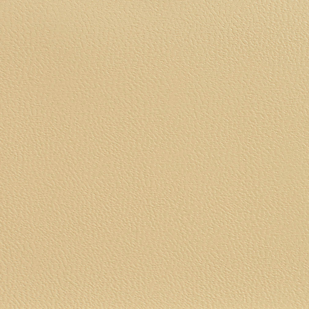 7594 Leather Grain,Plain & Solid Ecru Beige & Taupe Charlotte Fabrics Vinyl