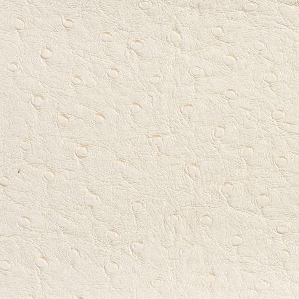 7704 Animal Print,Plain & Solid Eggshell White & Ivory Charlotte Fabrics Vinyl