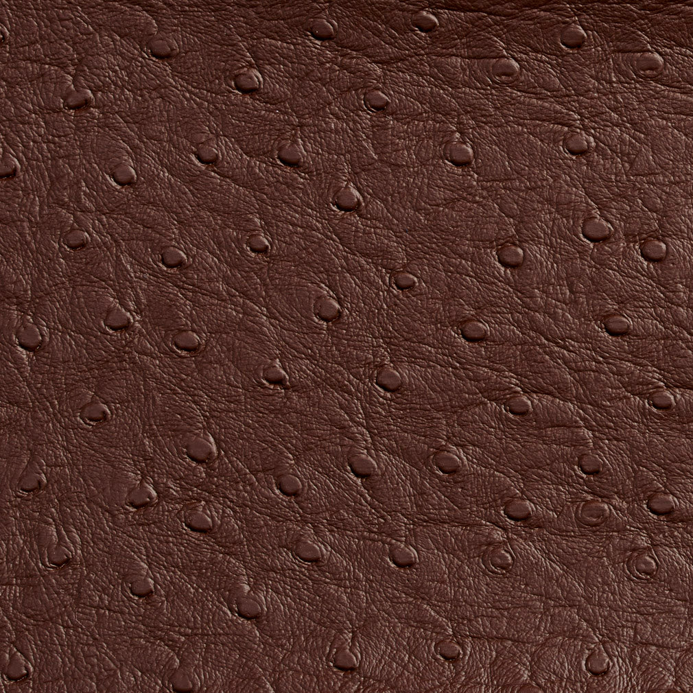 7706 Animal Print,Plain & Solid Espresso Brown Charlotte Fabrics Vinyl