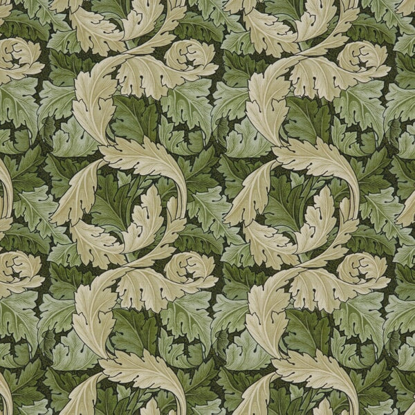 7859 ACANTHUS Stout Multi-Purpose