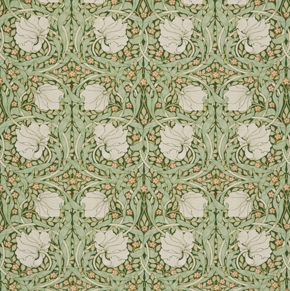 7865 PIMPERNEL Stout Multi-Purpose