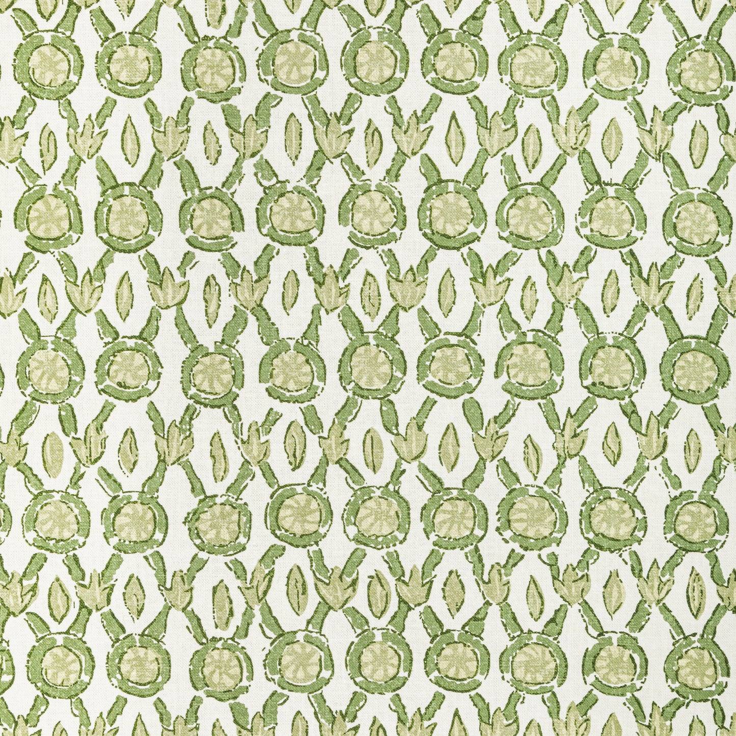 8022103-33 GALON PRINT LEAF BRUNSCHWIG & FILS
