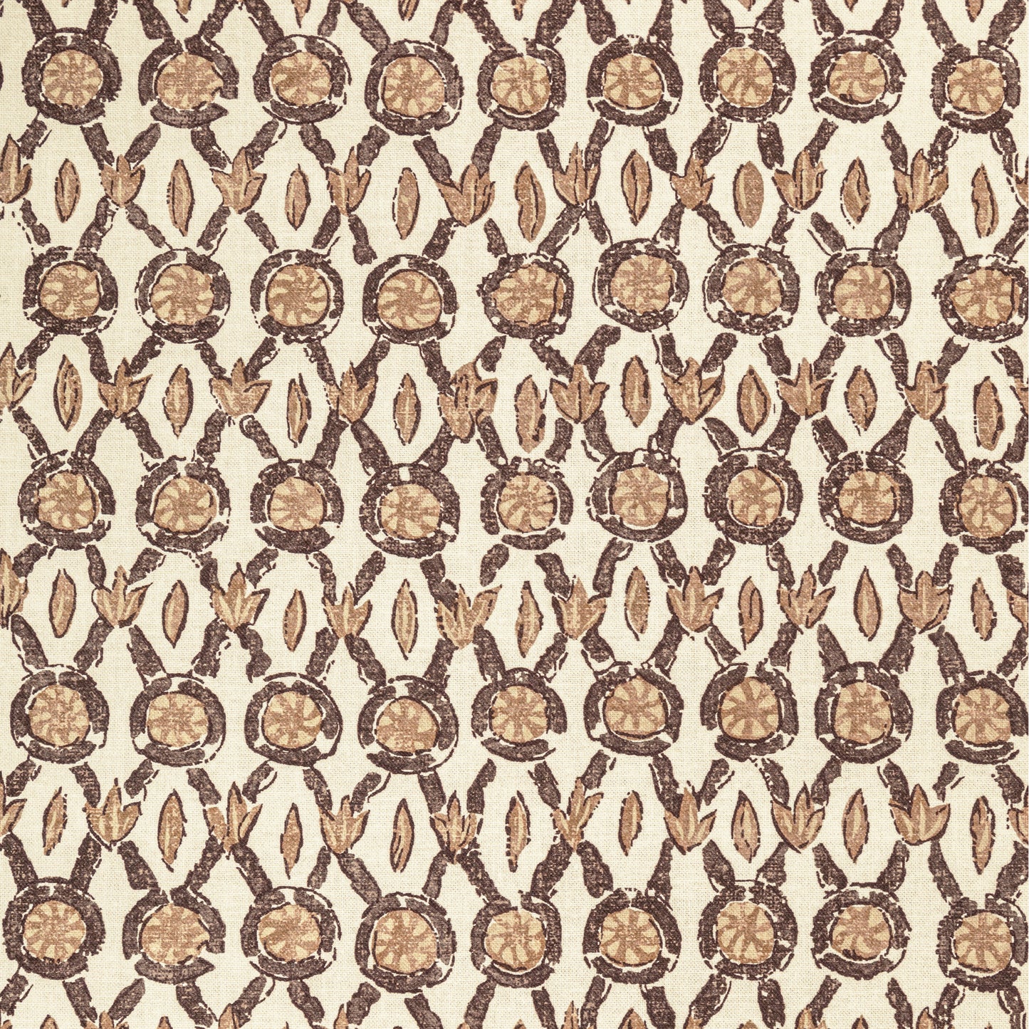8022103-616 GALON PRINT MOCHA BRUNSCHWIG & FILS