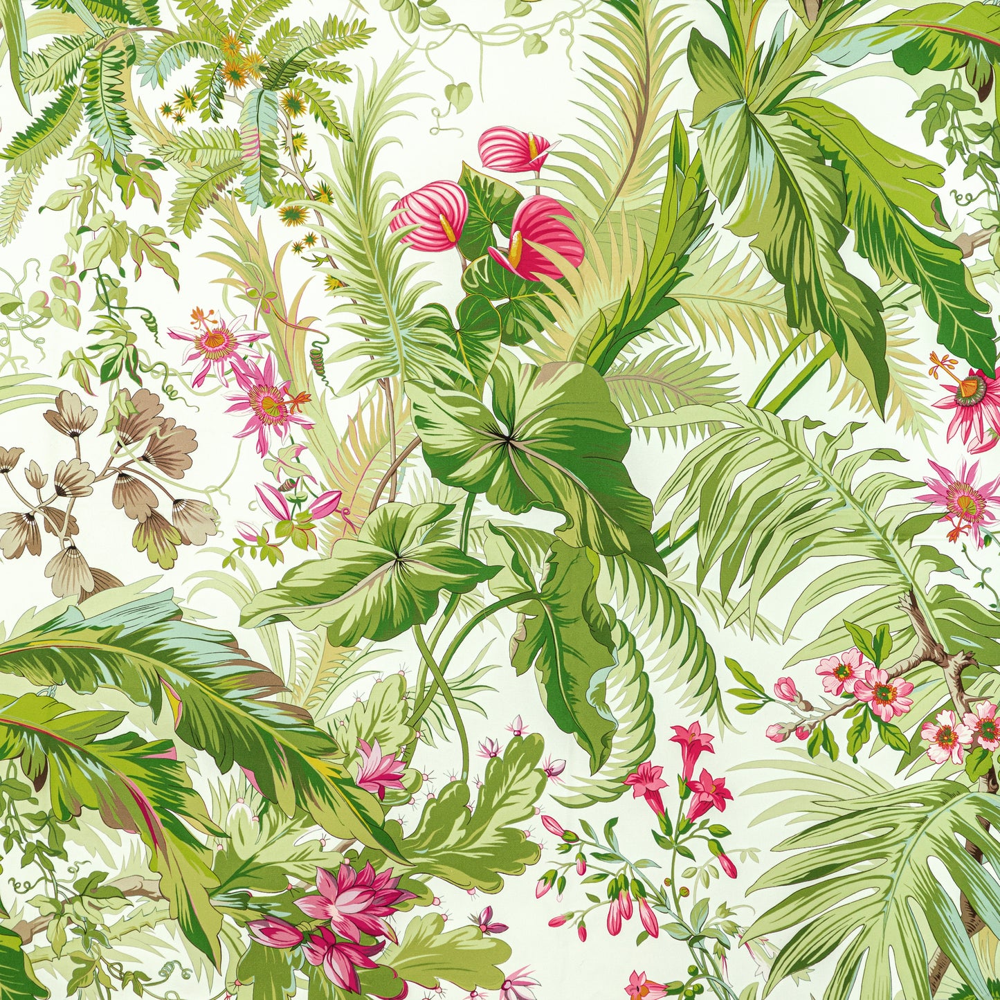 8022136-73 MAJORELLE PRINT SPRING BRUNSCHWIG & FILS