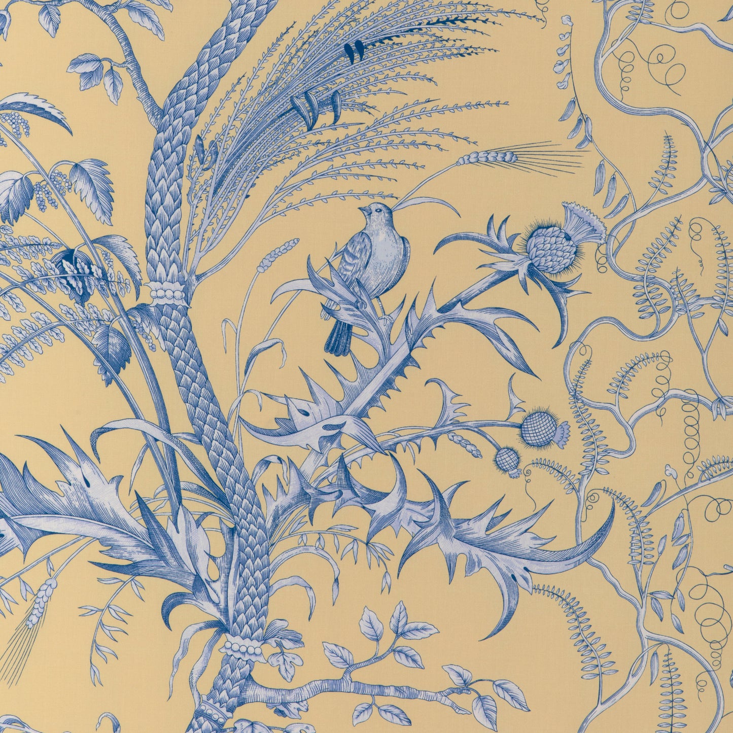8024101-415 BIRD AND THISTLE II SUN BRUNSCHWIG & FILS