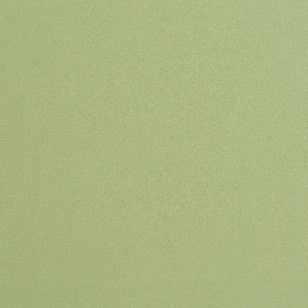 8226 Leather Grain,Plain & Solid Mint Green Charlotte Fabrics Vinyl