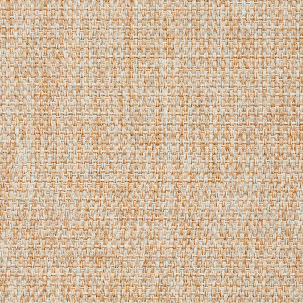 8415 Plain & Solid Parchment Beige & Taupe Charlotte Fabrics