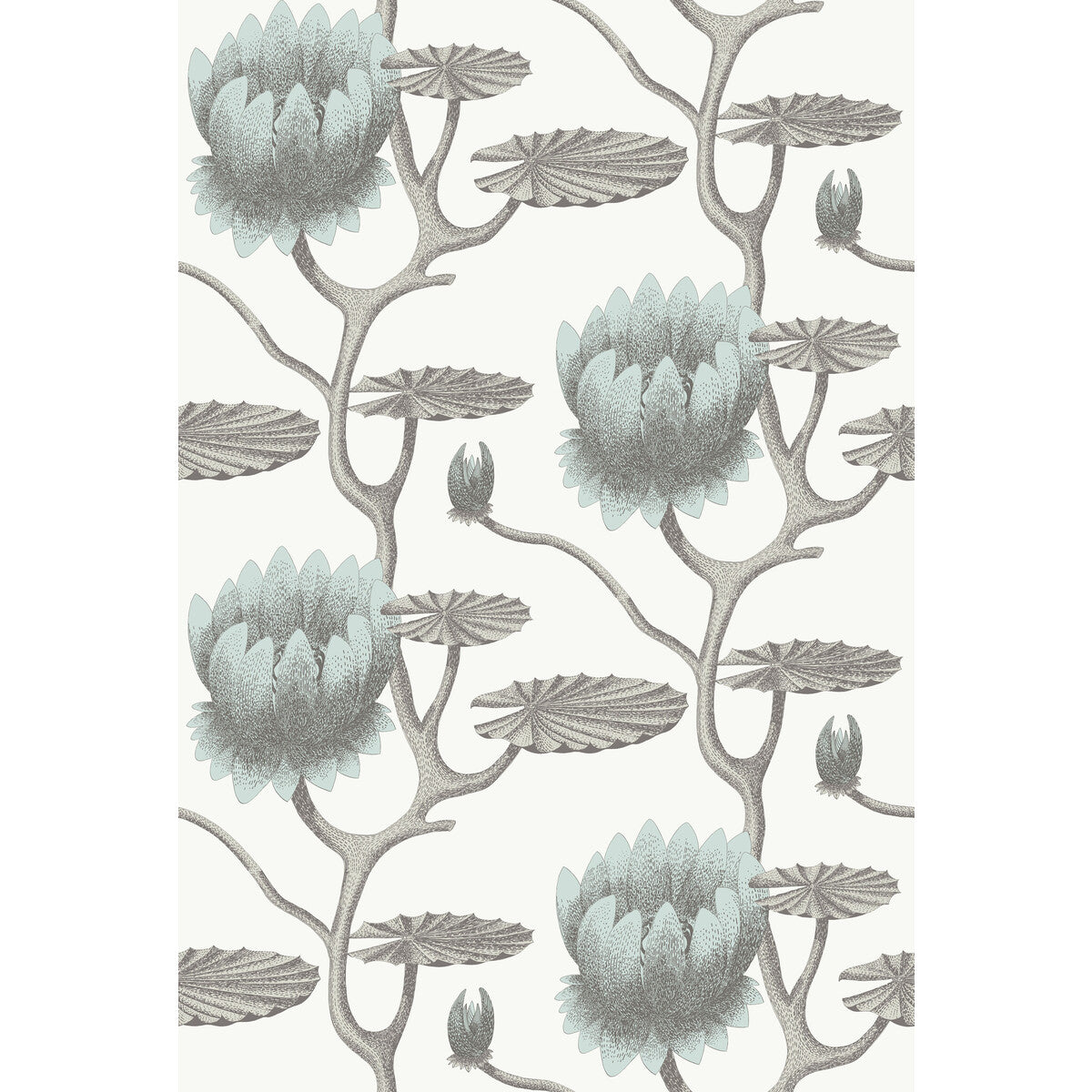 95/4022-CS SUMMER LILY AQUA/WHITE COLE & SON Wallpaper