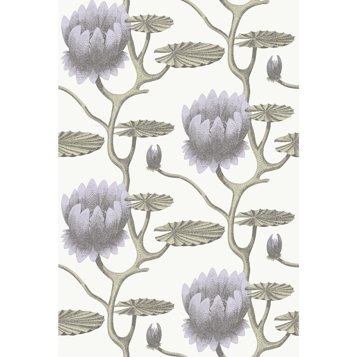 95/4023-CS SUMMER LILY LILAC/GRN/WT COLE & SON Wallpaper