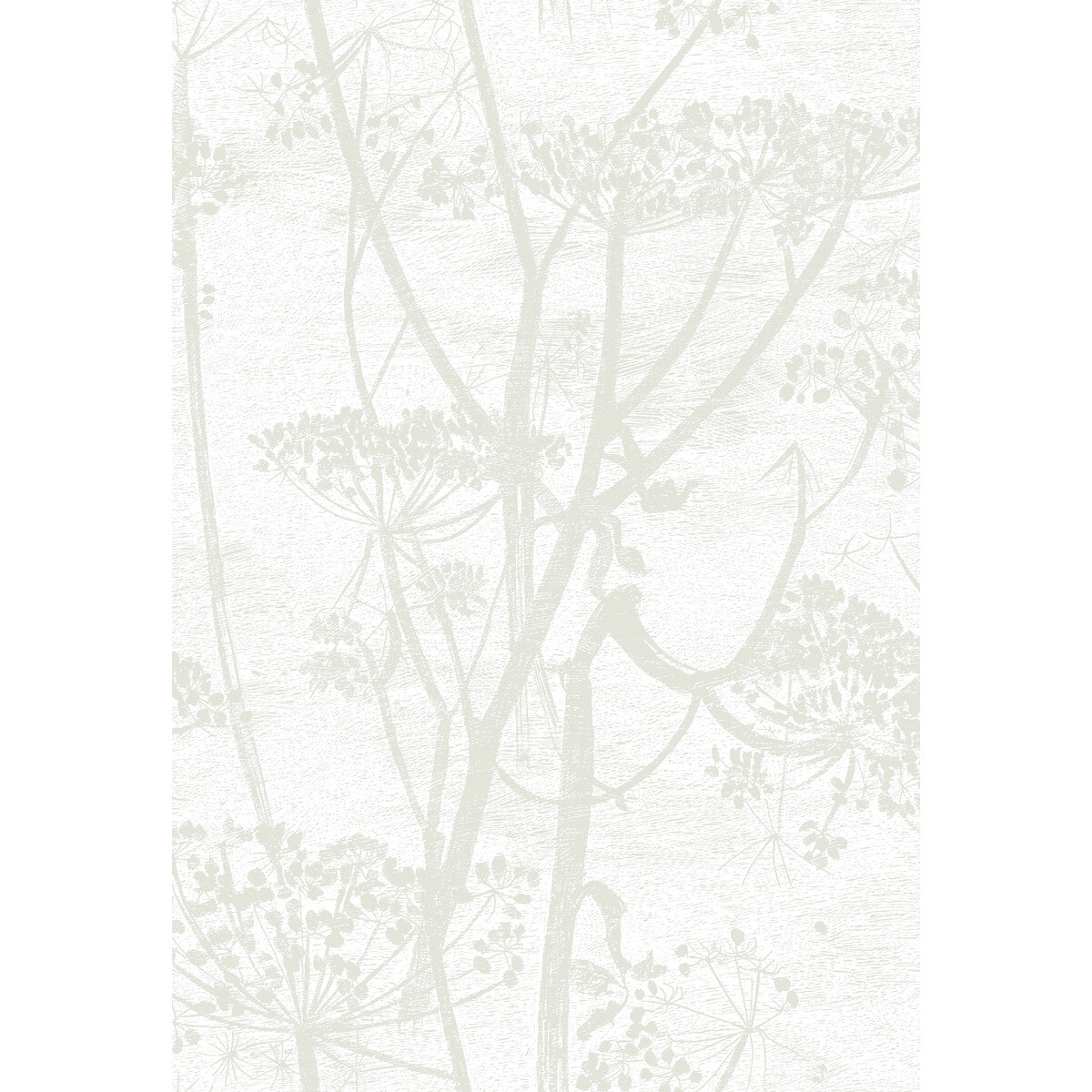 95/9052-CS COW PARSLEY White Cole & Son Wallpaper