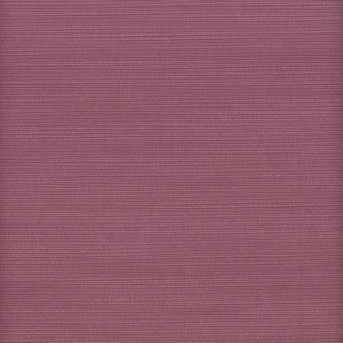 ADMI-19 STOUT ADMIRE 19 PURPLE PURPLE MULTIPURPOSE
