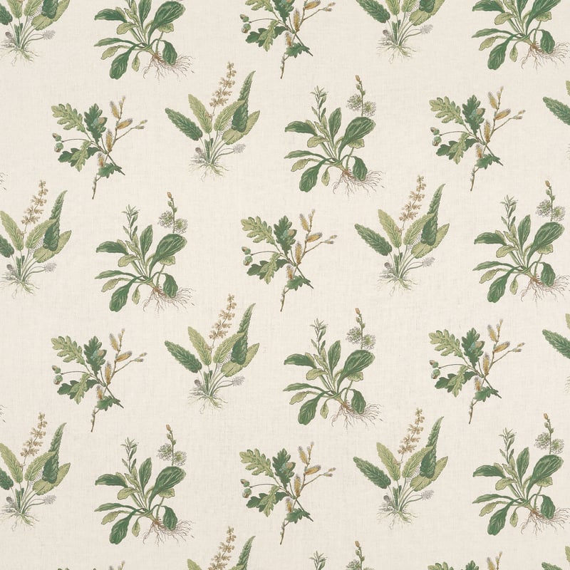 AF57853 Anna French Green on Natural Fabric