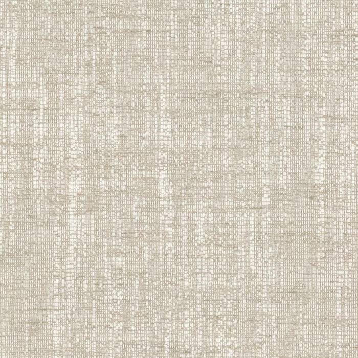 ALBE-3 STOUT ALBERTO 3 BIRCH BIRCH MULTIPURPOSE