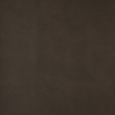 ALUM-21 KRAVET DESIGN ALUM-21 KRAVET DESIGN UPHOLSTERY