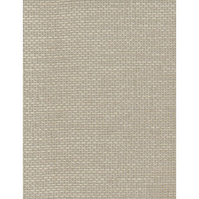 AM100028-16 RICCI NATURAL KRAVET COUTURE UPHOLSTERY