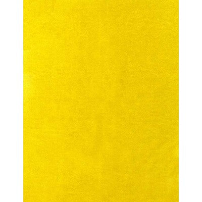 AM100111-23 PELHAM PEAR KRAVET COUTURE UPHOLSTERY
