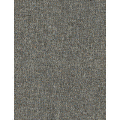 AM100123-21 TECHNO PLATINUM KRAVET COUTURE DRAPERY