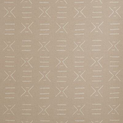 AM100314-17 KONGO PLASTER KRAVET COUTURE Fabrics Drapery Upholstery