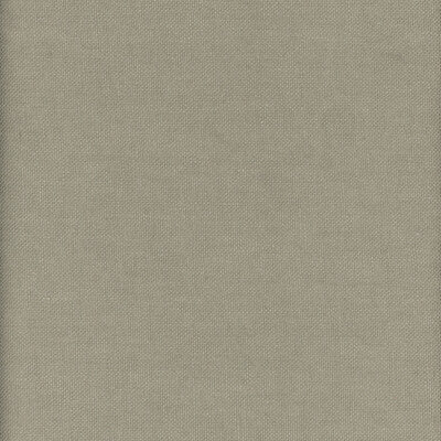 AM100346-316 BEAGLE GRASSHOPPER KRAVET COUTURE Fabrics Drapery Upholstery